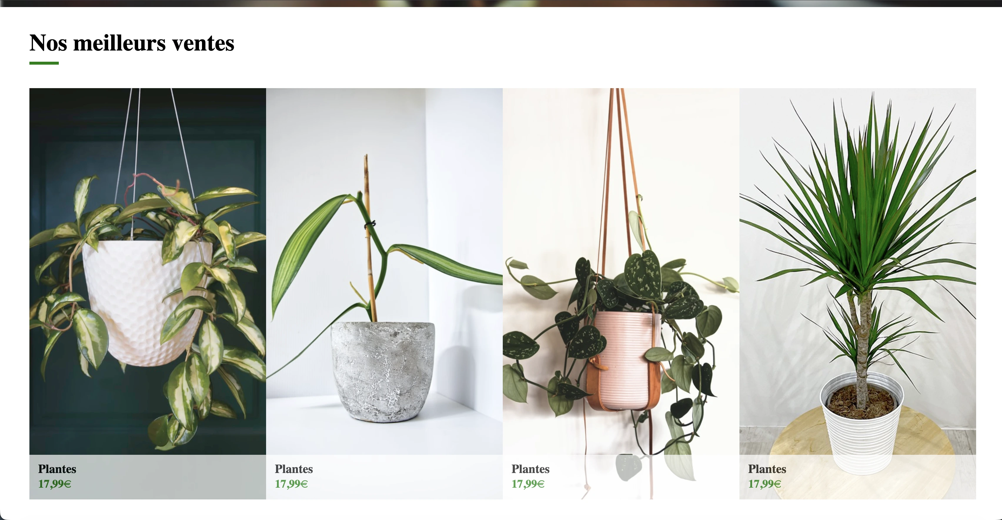 Photo de site Responsive
